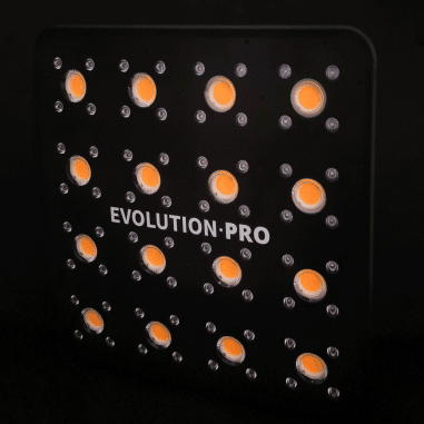 LED Apollo Evolution Pro 16 480W - Delight
